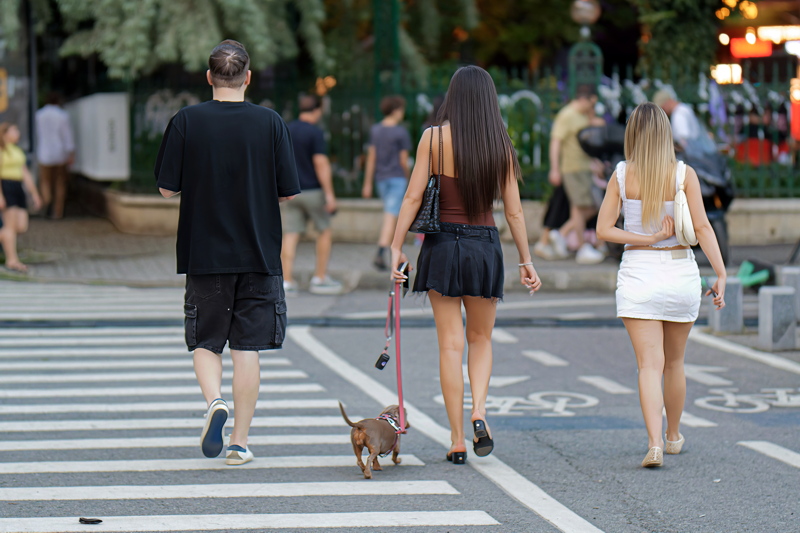 coming_soon_10 - Several people and a little dog walking together along a city street